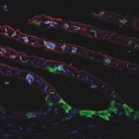 New Biology Research