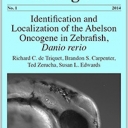 Journal Cover Image