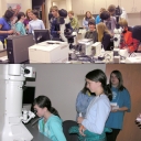Life under the microscope